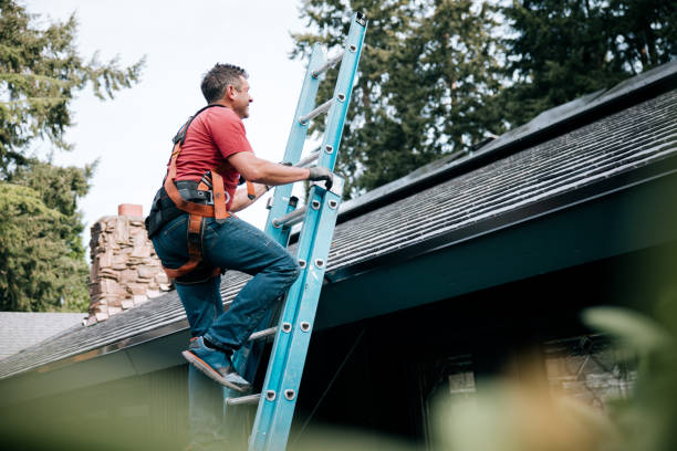 Best Roof Maintenance and Cleaning  in Forsyth, GA